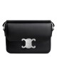 Celine TEEN TRIOMPHE Glossy Cow Leather Handbag