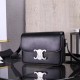 Celine TEEN TRIOMPHE Glossy Cow Leather Handbag