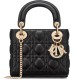 Dior High Quality Luxury Mini Lady Dior Handbag