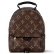 Louis Vuitton PALM SPRINGS Mini Backpack