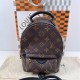 Louis Vuitton PALM SPRINGS Mini Backpack