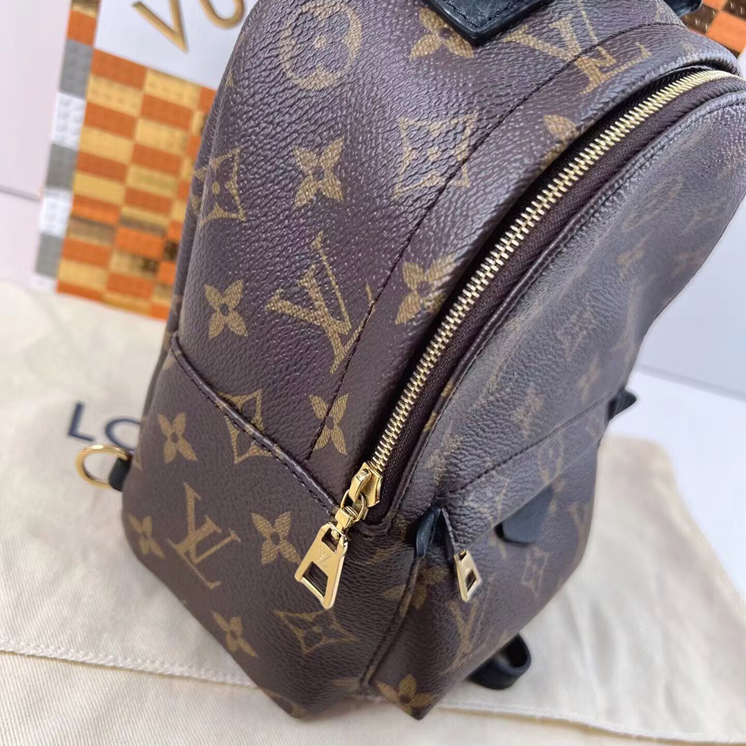 Louis Vuitton PALM SPRINGS Mini Backpack