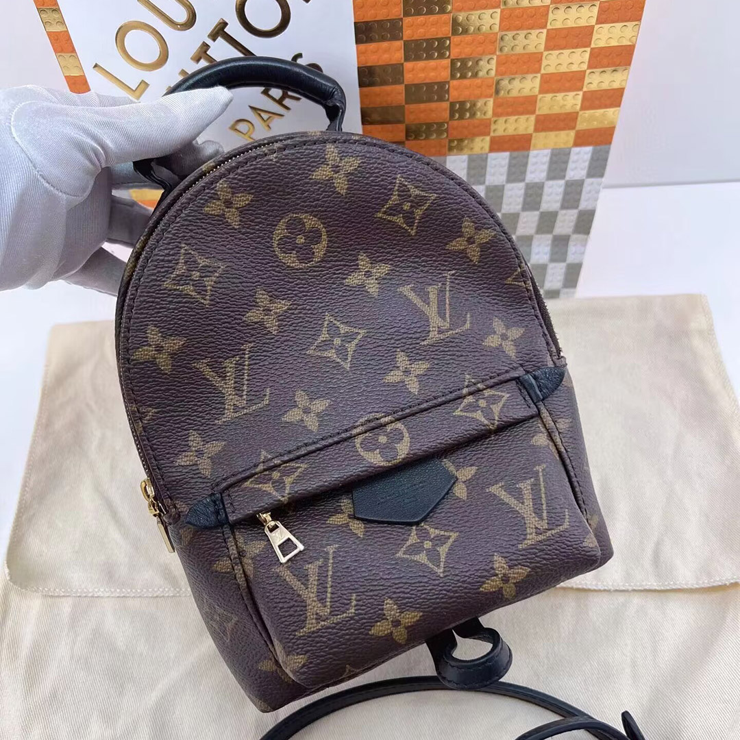 Louis Vuitton PALM SPRINGS Mini Backpack