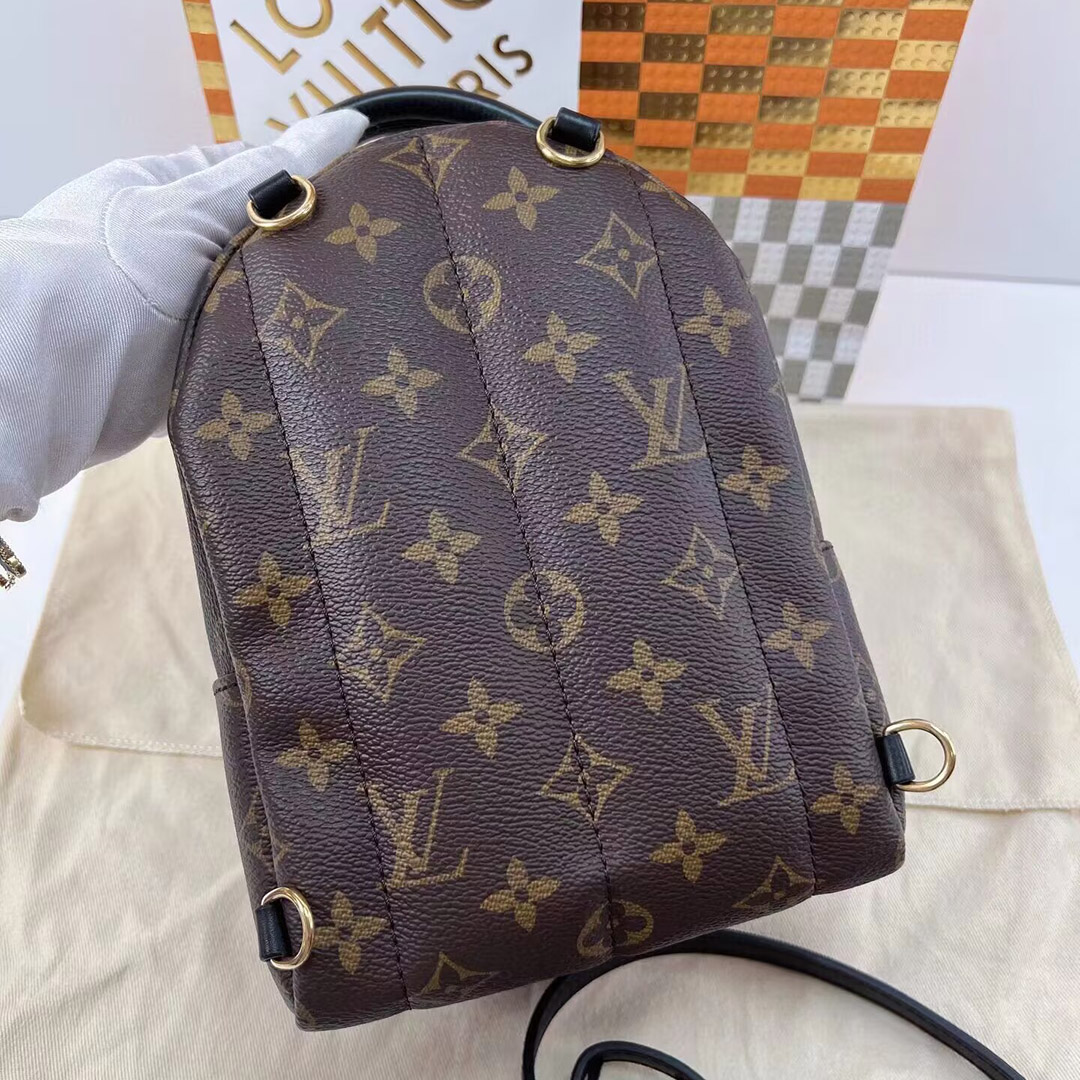 Louis Vuitton PALM SPRINGS Mini Backpack