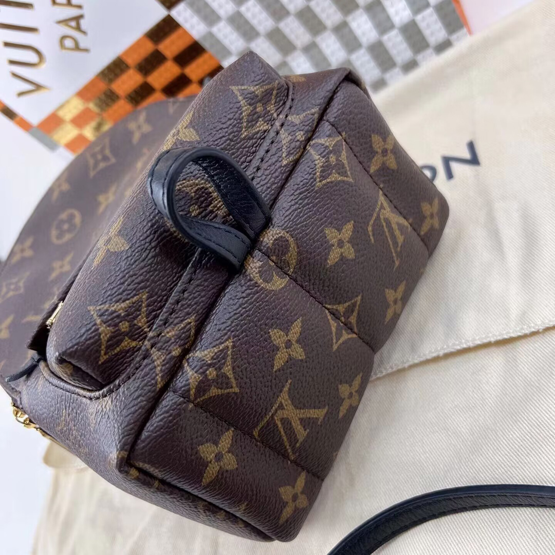 Louis Vuitton PALM SPRINGS Mini Backpack